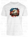 America 100