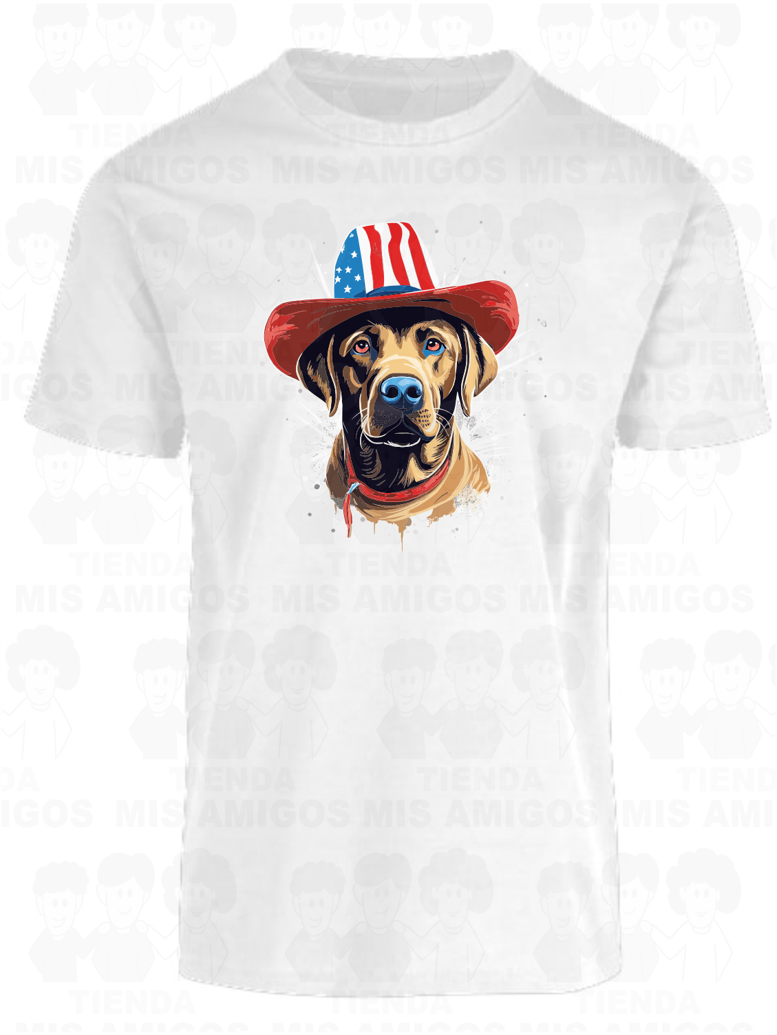 America 010