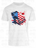 America 011