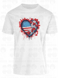 America 017