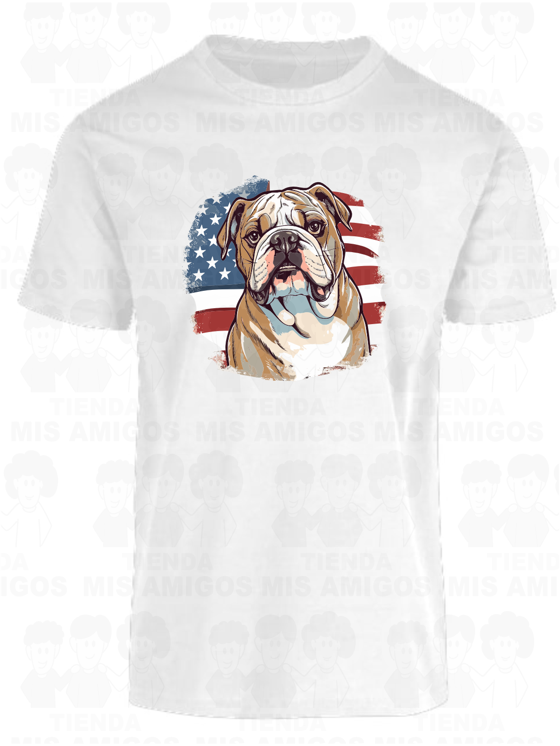 America 018