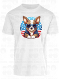 America 021
