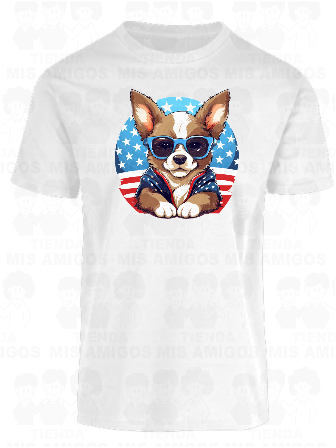 America 021