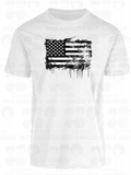 America 022