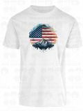 America 035