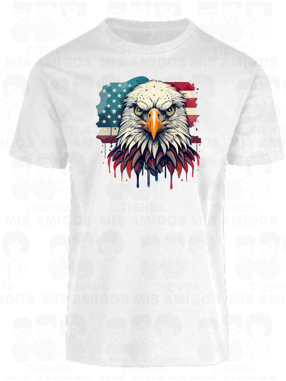 America 003