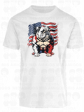 America 043