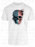 America 047