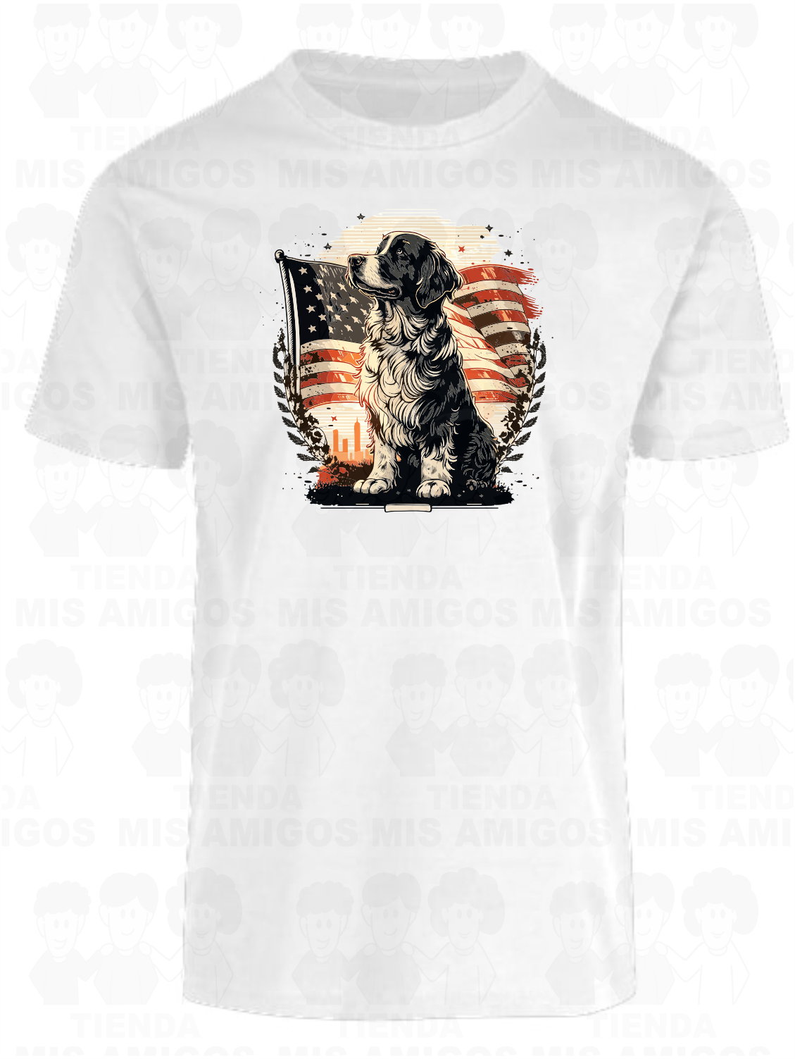 America 056