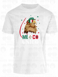 Playeras México 062