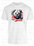 America 064