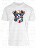 America 006