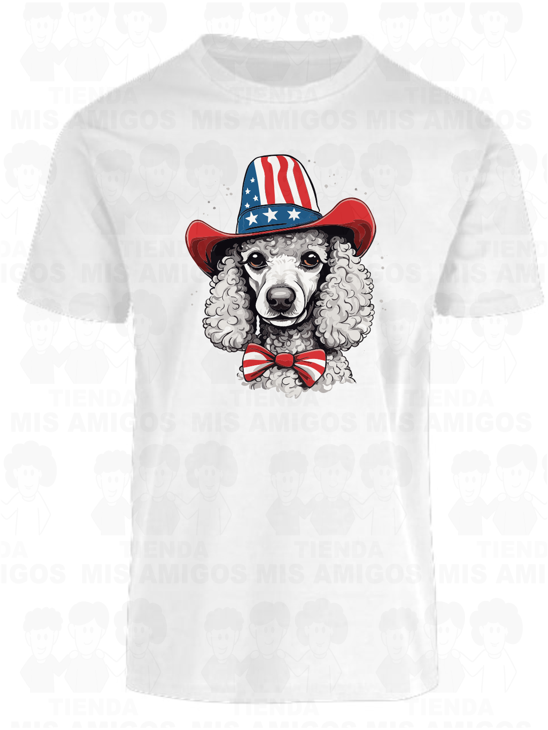America 071