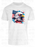 America 076