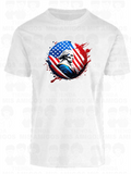 America 077