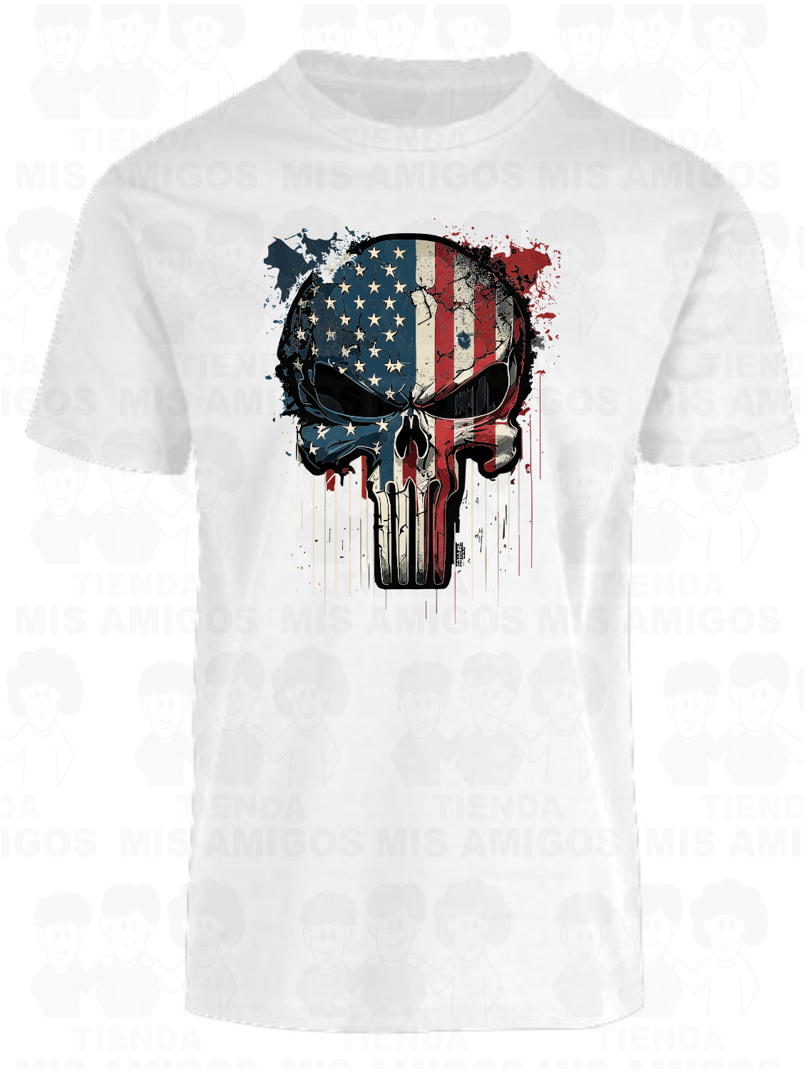America 078