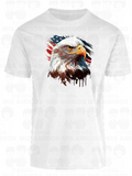 America 086