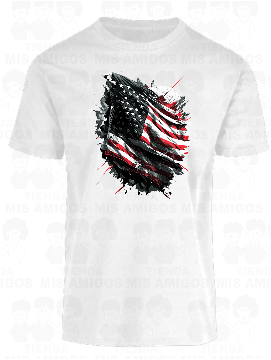 America 088