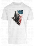 America 093