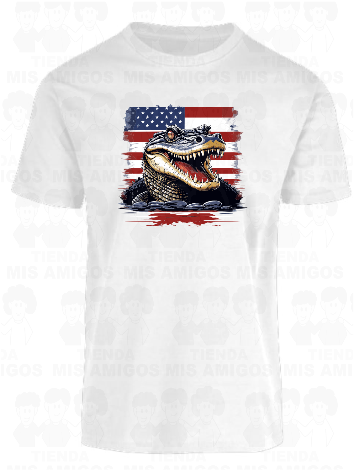 America 094