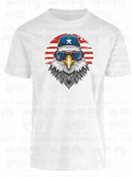 America 097
