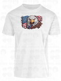 America 099