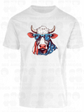 America 009